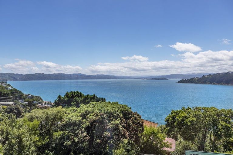 Photo of property in 139 Grafton Road, Roseneath, Wellington, 6011