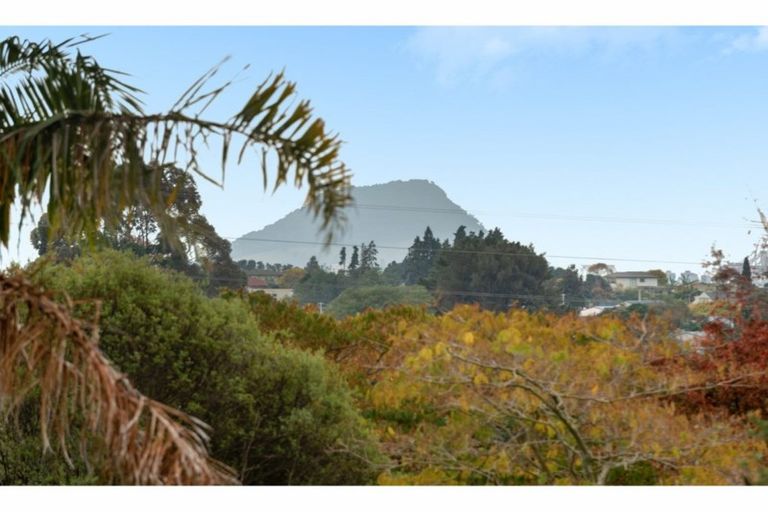 Photo of property in 36a Snowden Street, Ohauiti, Tauranga, 3112