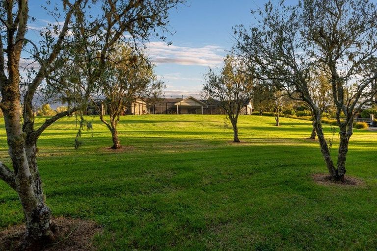 Photo of property in 253 Horseshoe Bush Road, Dairy Flat, Albany, 0794