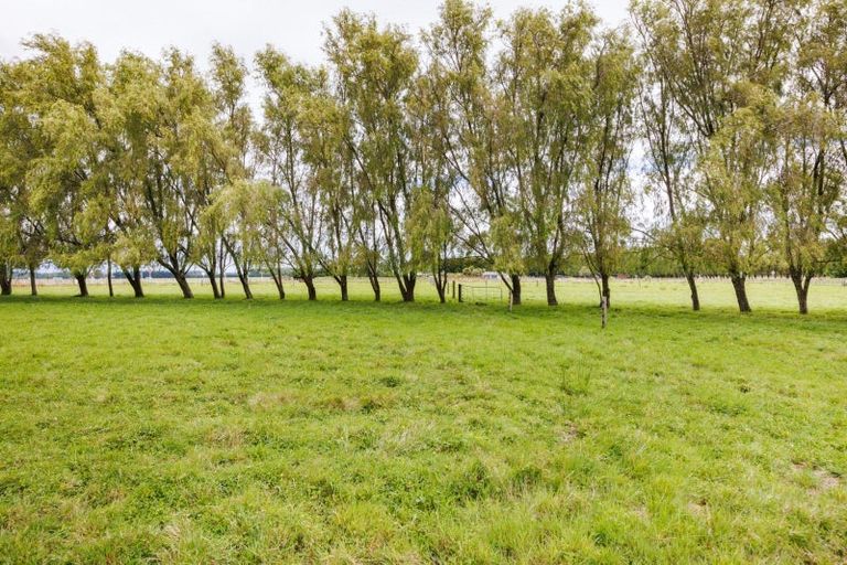 Photo of property in 448 Kairanga Bunnythorpe Road, Bunnythorpe, Palmerston North, 4478