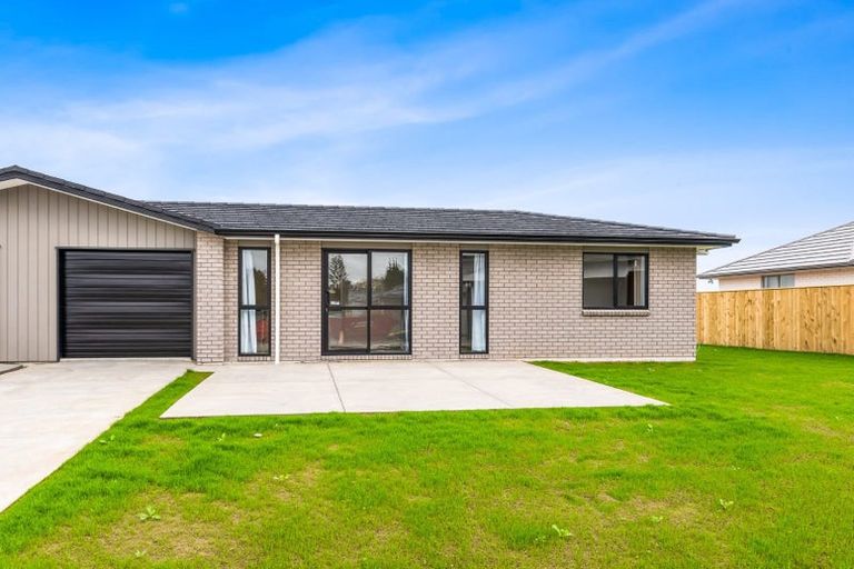 Photo of property in 115 Hinemoa Street, Levin, 5510