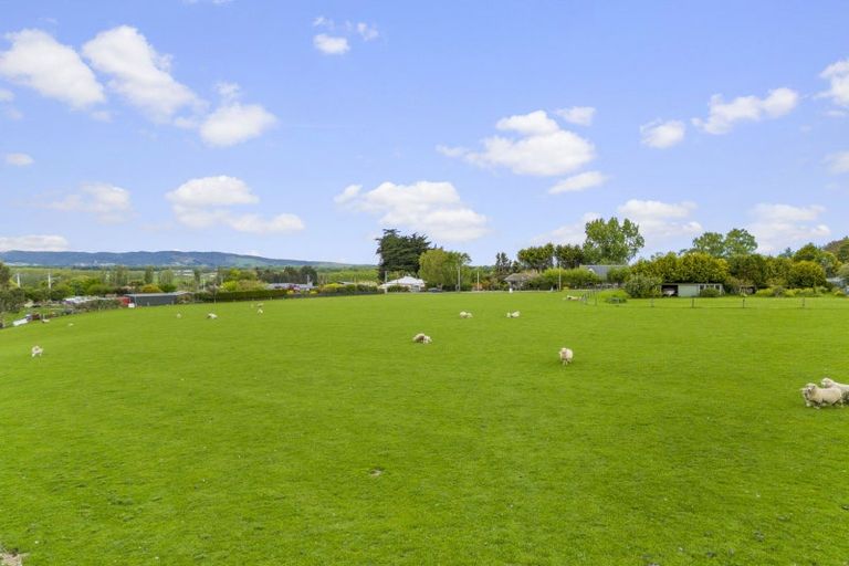 Photo of property in 37 View Street, Stirling, 9231