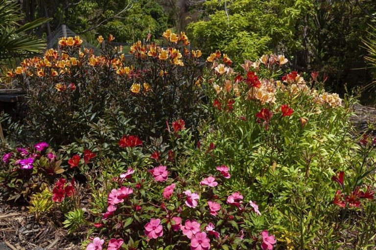 Photo of property in 31 Eagles Way, Cable Bay, 0420