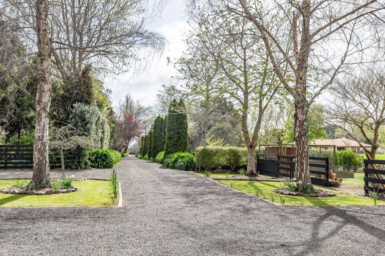 Photo of property in 80 Avenue North Road, Levin, 5510