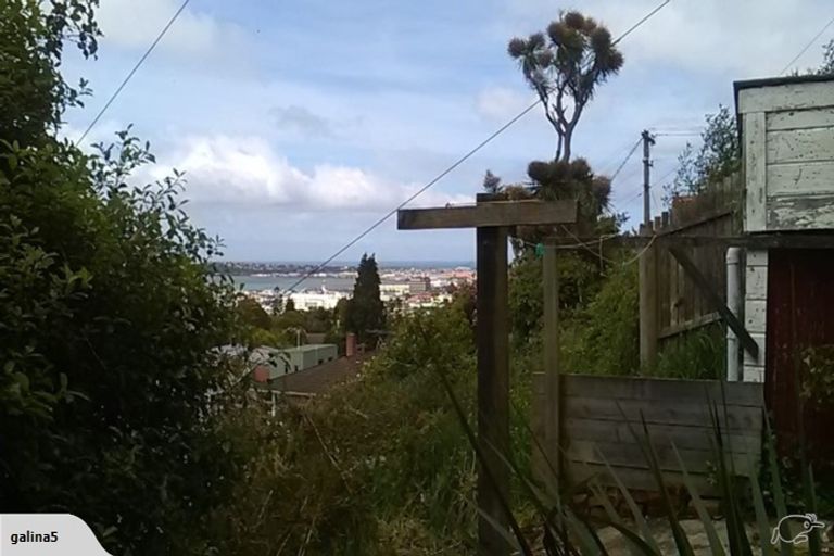 Photo of property in 74 Heriot Row, North Dunedin, Dunedin, 9016