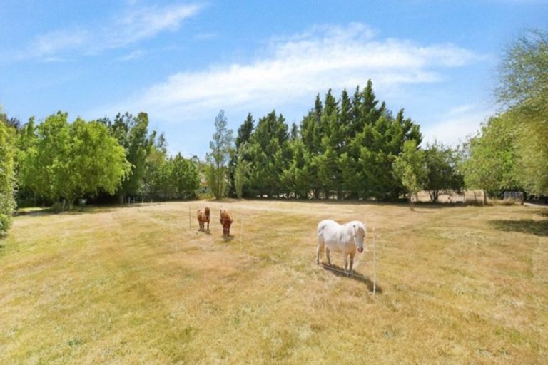 Photo of property in 1234 Courtenay Road, Kirwee, Darfield, 7571