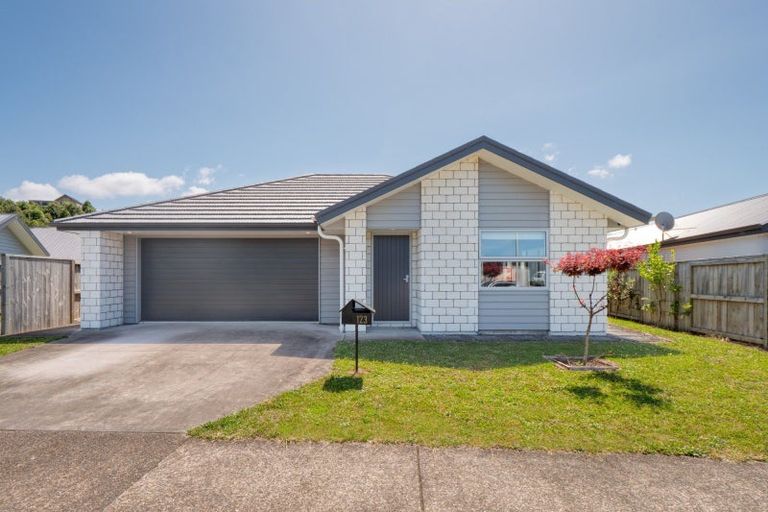 Photo of property in 123 Whakaturou Crescent, Pyes Pa, Tauranga, 3112