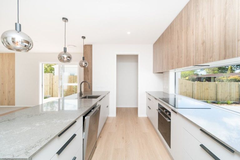 Photo of property in 42c Batt Street, West End, Palmerston North, 4410