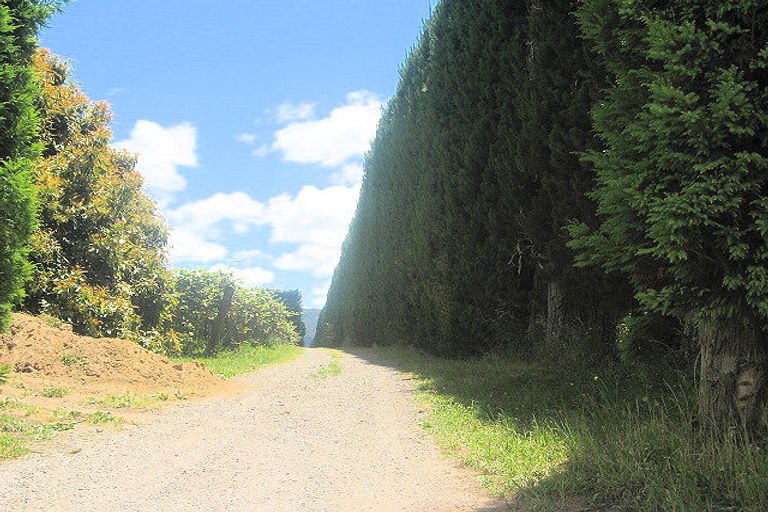 Photo of property in 400d No 2 Road, Te Puke, 3182