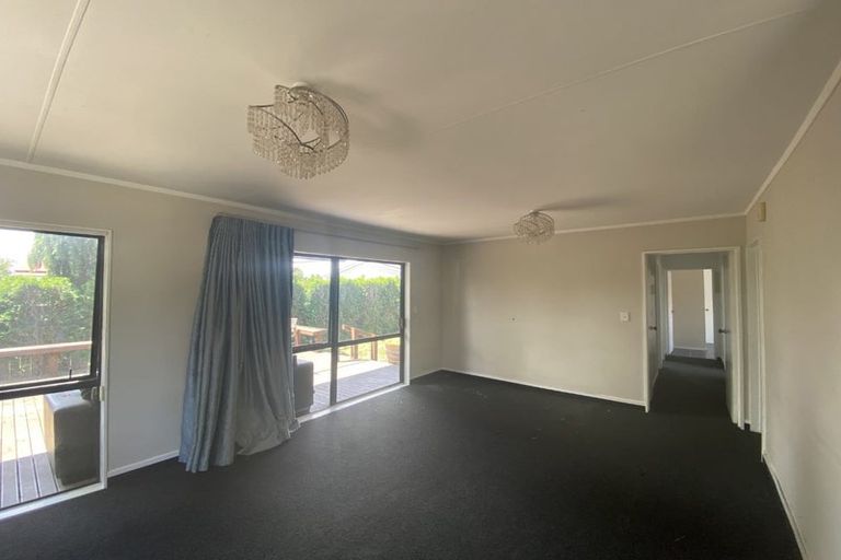 Photo of property in 908b Ferguson Street, Akina, Hastings, 4122