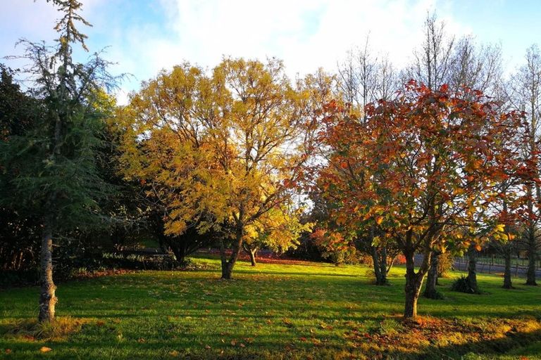 Photo of property in 211 Pine Valley Road, Dairy Flat, Silverdale, 0992