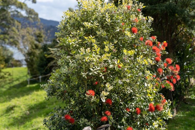 Photo of property in 745b Waikino Road, Karetu, Kawakawa, 0283