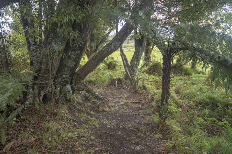 Photo of property in 1039a Work Road, Whakamarama, Katikati, 3181