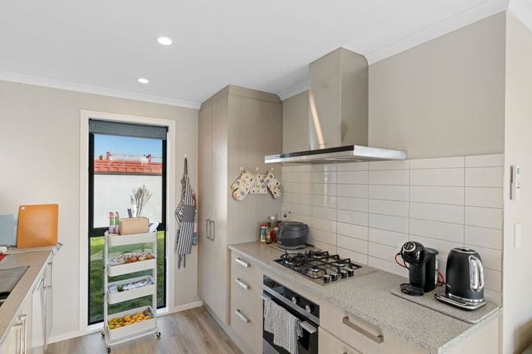 Photo of property in 111 Hinemoa Street, Levin, 5510