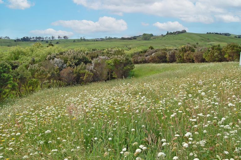 Photo of property in 17 Ranganui Road, Kaiwaka, 0573