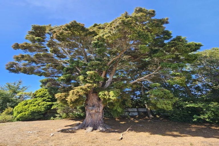 Photo of property in Wratten Road, Owaka, 9585