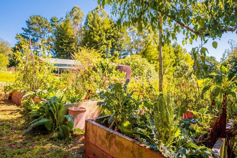 Photo of property in 146 Horseshoe Bush Road, Dairy Flat, Albany, 0794