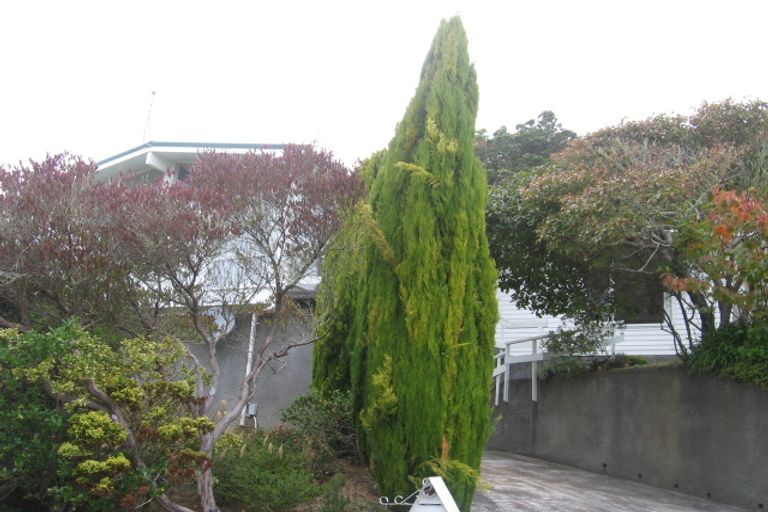 Photo of property in 58 Collier Avenue, Karori, Wellington, 6012