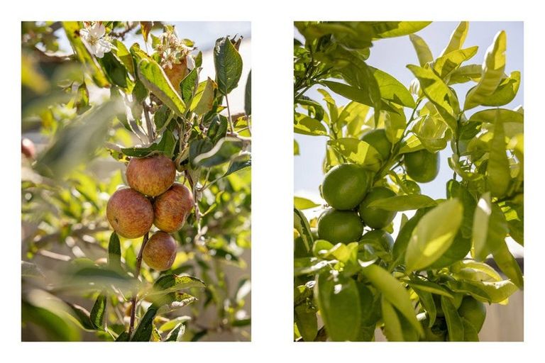 Photo of property in 4 Pinkerton Place, Ohauiti, Tauranga, 3112