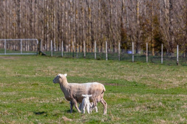 Photo of property in 973 Hoskyns Road, West Melton, Christchurch, 7671