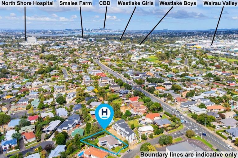 Photo of property in 46 Seine Road, Forrest Hill, Auckland, 0620