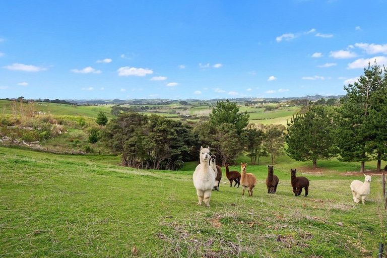 Photo of property in 33 Bald Hill Road, Waitoki, Kaukapakapa, 0871