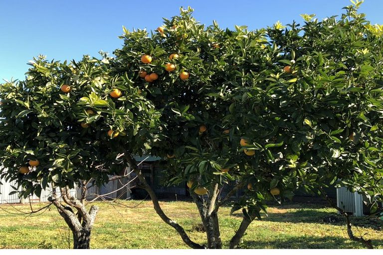 Photo of property in 10 Pokeno Road, Pokeno, 2402