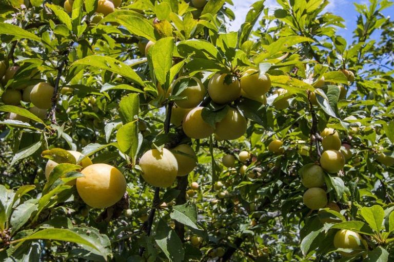 Photo of property in 10 Richmal Street, Waihi, 3610