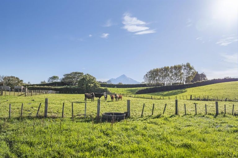 Photo of property in 241 Warwick Road, Stratford, 4391