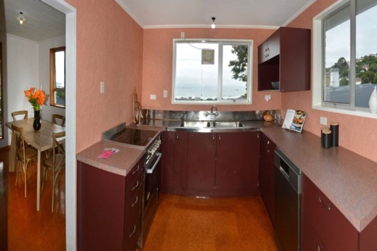 Photo of property in 12a Coney Hill Road, Saint Clair, Dunedin, 9012