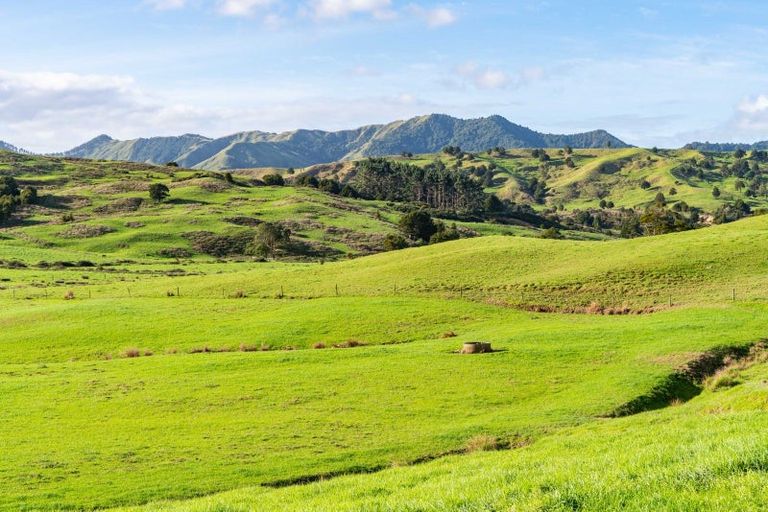 Photo of property in 184 Tangowahine Valley Road, Tangowahine, 0372