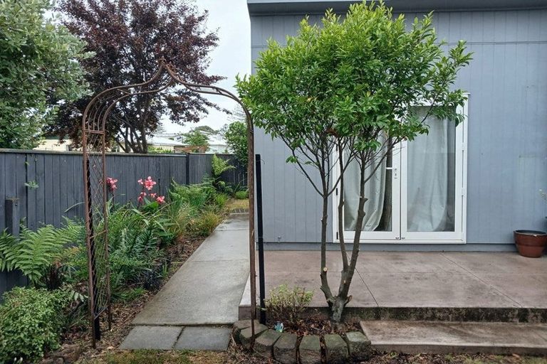 Photo of property in 117a Nelson Crescent, Napier South, Napier, 4110