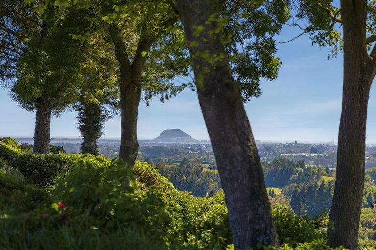 Photo of property in 179b Crawford Road, Minden, Tauranga, 3171