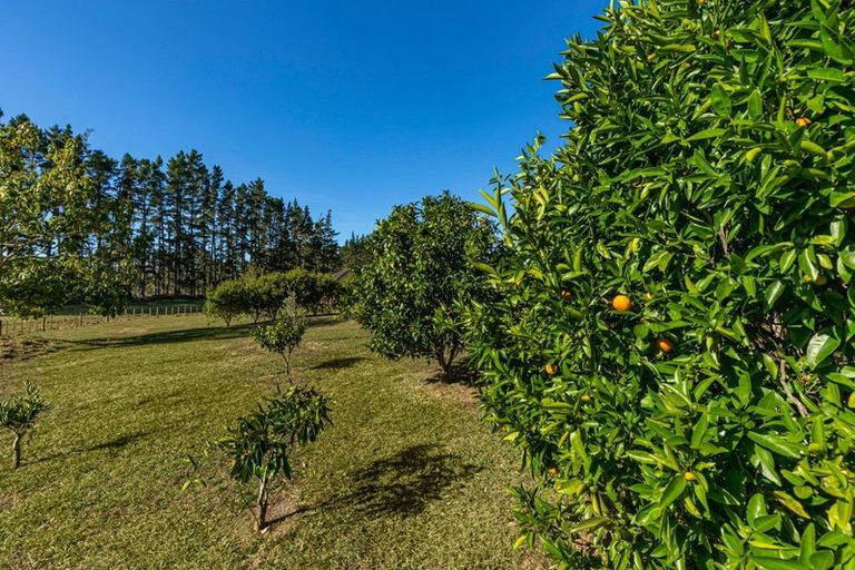 Photo of property in 16 Kennedy Road, Dairy Flat, Albany, 0792