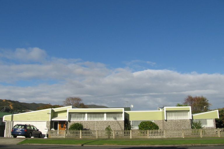 Photo of property in 20 Park Avenue, Epuni, Lower Hutt, 5011