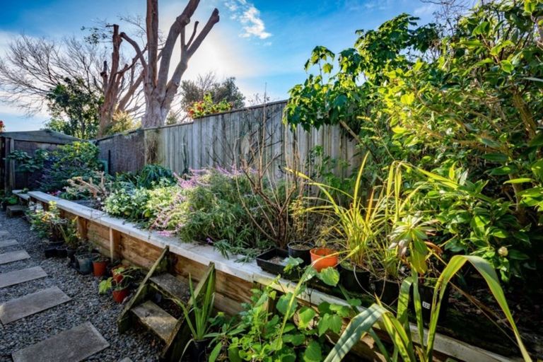 Photo of property in 8a Winara Avenue, Waikanae, 5036