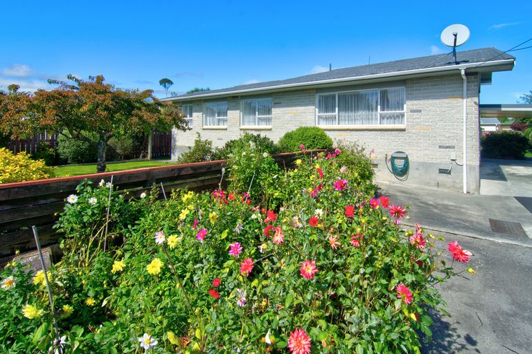Photo of property in 44 Fleet Street, Solway, Masterton, 5810