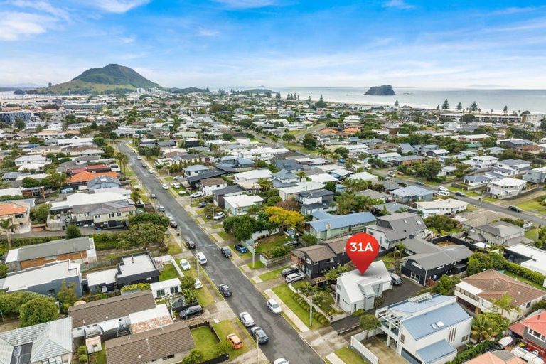 Photo of property in 31a Campbell Road, Mount Maunganui, 3116