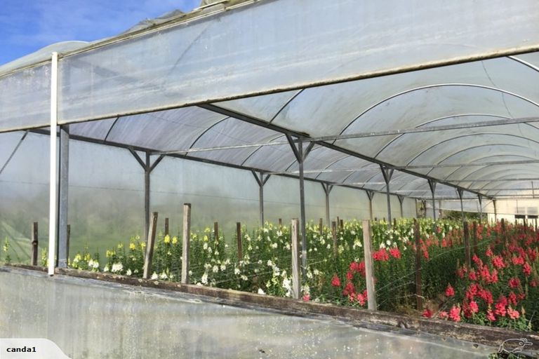 Photo of property in 344 Drury Hills Road, Drury, 2577