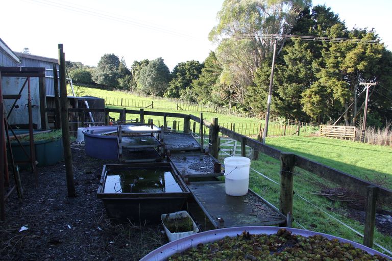 Photo of property in 85 Newton Road, Maungatapere, Whangarei, 0170