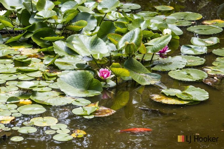 Photo of property in 72 Koutunui Road, Athenree, Katikati, 3177