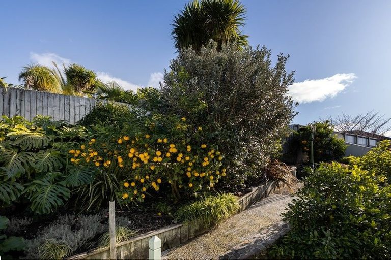 Photo of property in 8b Anchorage Grove, Maungatapu, Tauranga, 3112