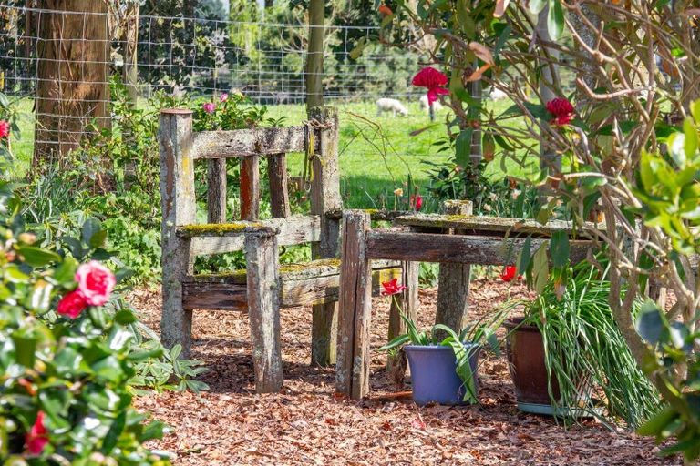 Photo of property in 56 Upper Manaia Road, Upper Plain, Masterton, 5888