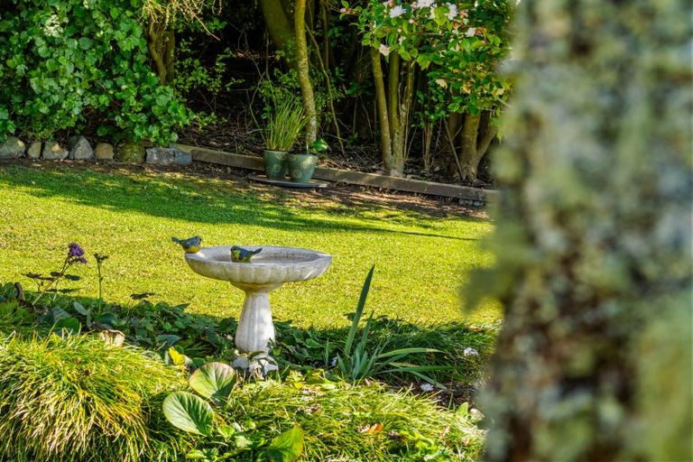 Photo of property in 533 Wainui Road South, Whakamarama, Tauranga, 3180