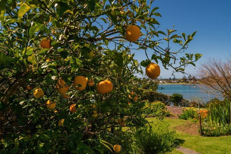 Photo of property in 49 Main Sh25 Road, Tairua, 3579