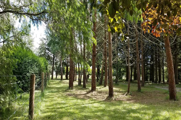 Photo of property in 12 Railway Street, Fairlie, 7925