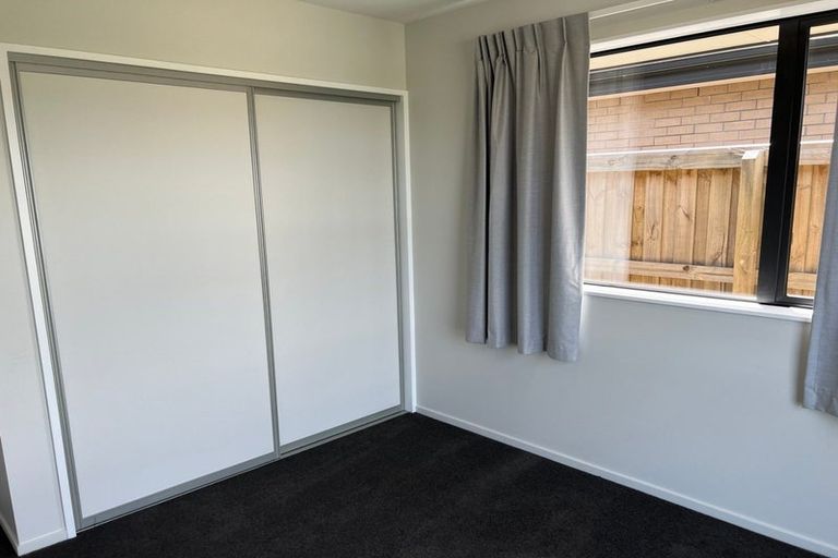 Photo of property in 29 Mills Road, Marshland, Christchurch, 8051