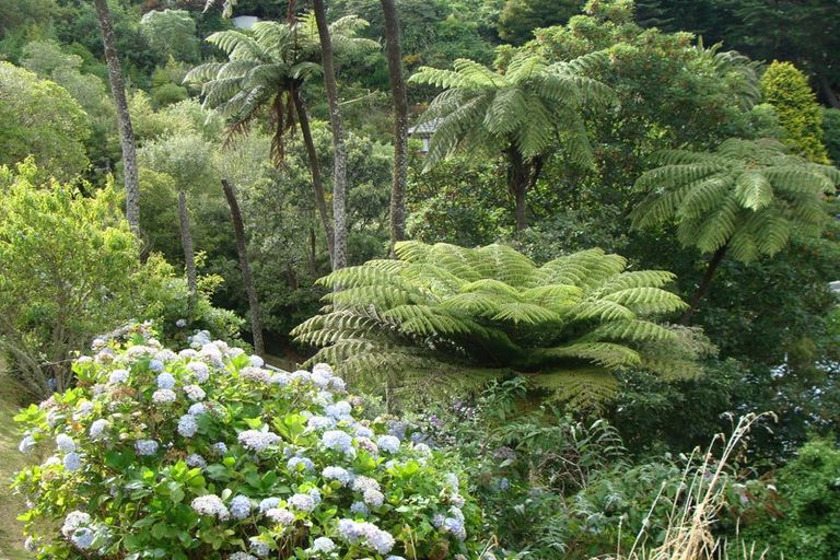 Photo of property in 11 Plunket Street, Kelburn, Wellington, 6012