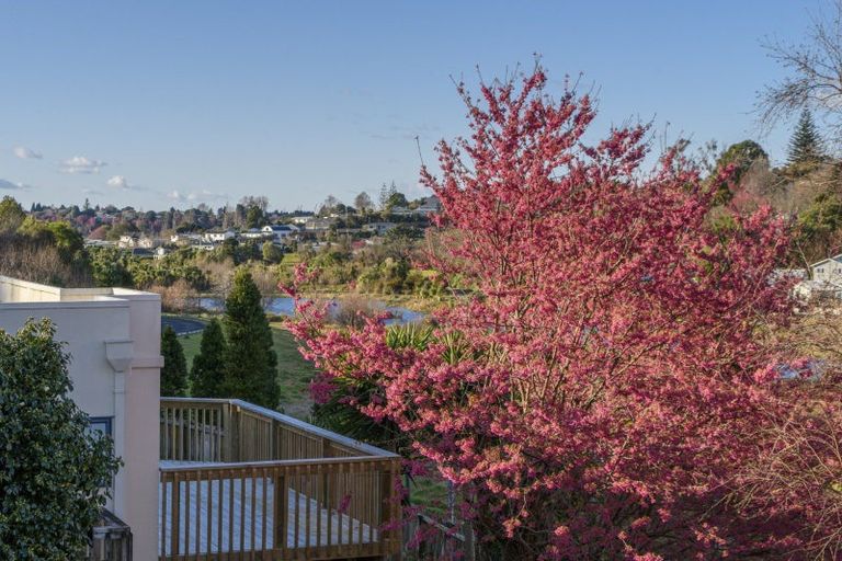 Photo of property in 110 Coopers Road, Gate Pa, Tauranga, 3112