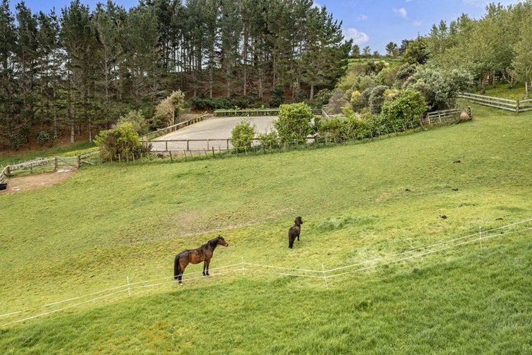 Photo of property in 215 Oyster Point Road, Kaukapakapa, Warkworth, 0984